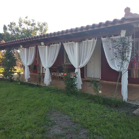 Olive Garden Guest House Кипарисия Экстерьер фото