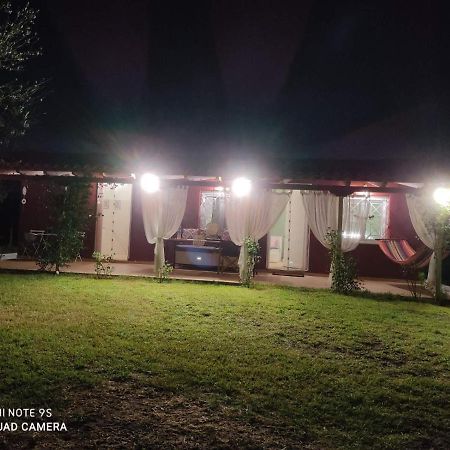 Olive Garden Guest House Кипарисия Экстерьер фото