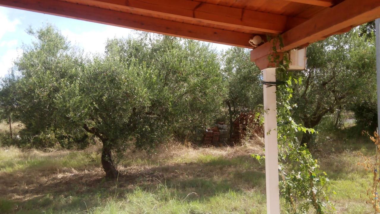 Olive Garden Guest House Кипарисия Экстерьер фото