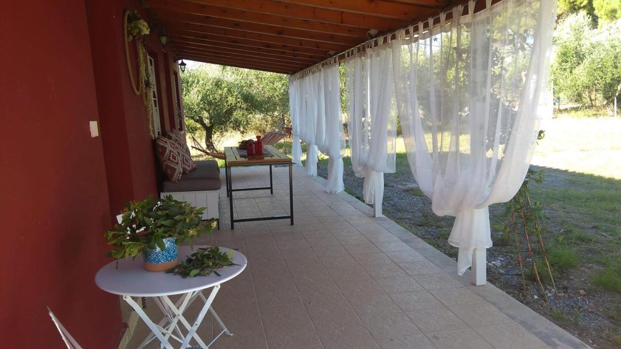Olive Garden Guest House Кипарисия Экстерьер фото