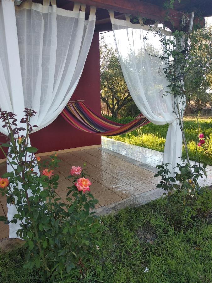 Olive Garden Guest House Кипарисия Экстерьер фото