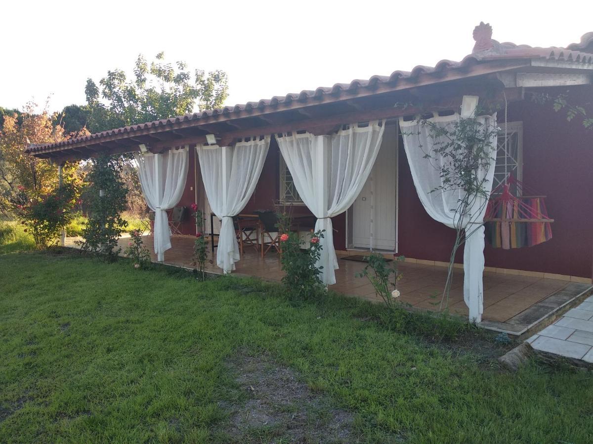 Olive Garden Guest House Кипарисия Экстерьер фото