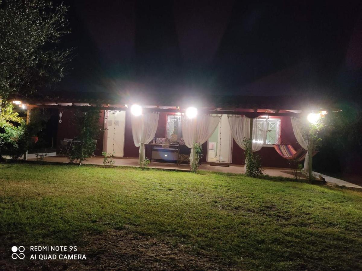 Olive Garden Guest House Кипарисия Экстерьер фото